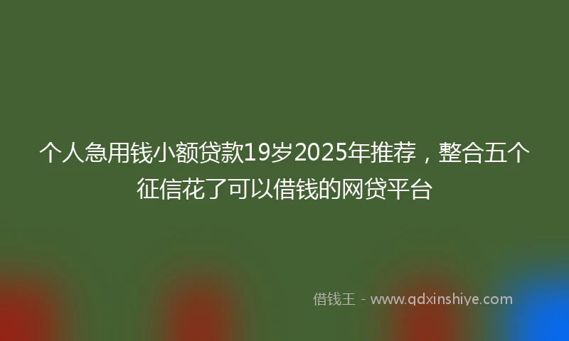 个人急用钱小额贷款19岁2025年推荐，整合五个征信花了可以借钱的网贷平台