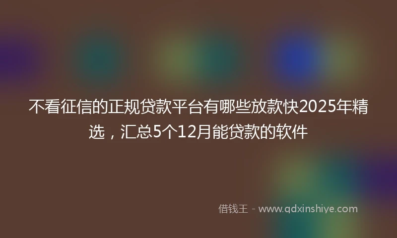 不看征信的正规贷款平台有哪些放款快2025年精选，汇总5个12月能贷款的软件