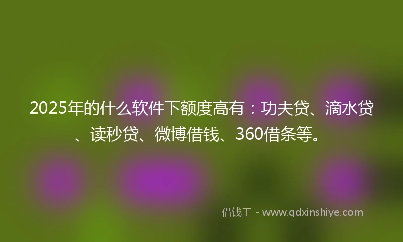2025年的什么软件下额度高有：功夫贷、滴水贷、读秒贷、微博借钱、360借条等。