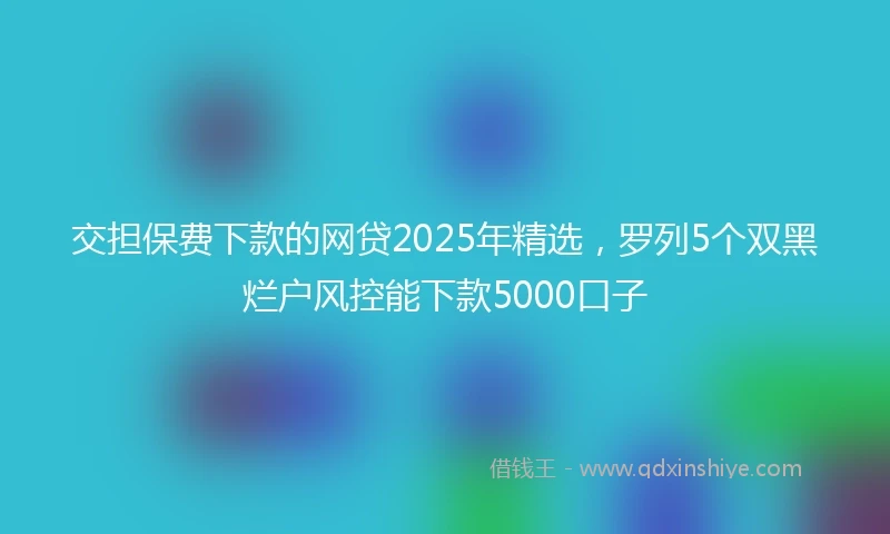 交担保费下款的网贷2025年精选，罗列5个双黑烂户风控能下款5000口子