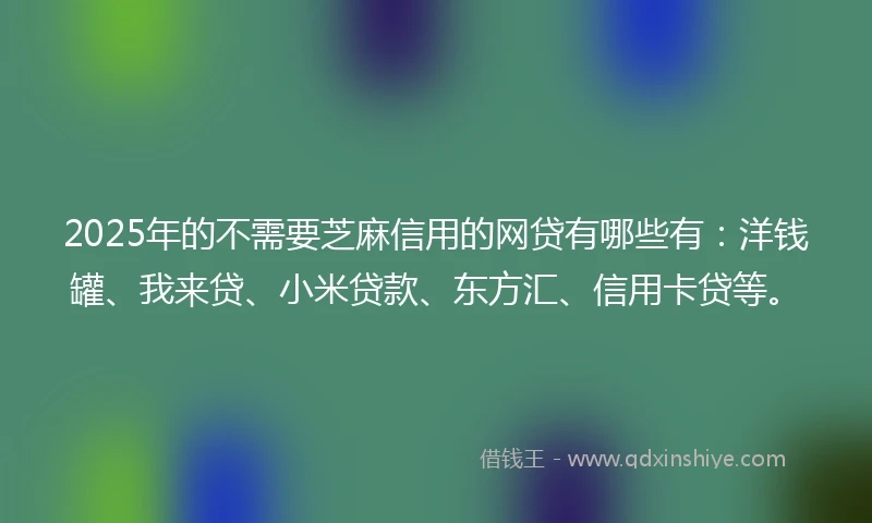 2025年的不需要芝麻信用的网贷有哪些有：洋钱罐、我来贷、小米贷款、东方汇、信用卡贷等。