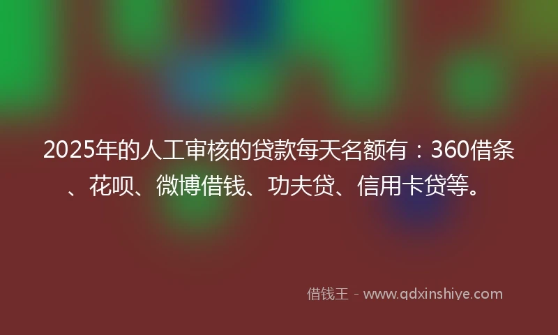 2025年的人工审核的贷款每天名额有：360借条、花呗、微博借钱、功夫贷、信用卡贷等。