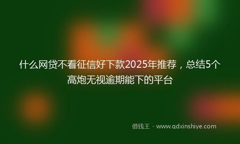 什么网贷不看征信好下款2025年推荐，总结5个高炮无视逾期能下的平台