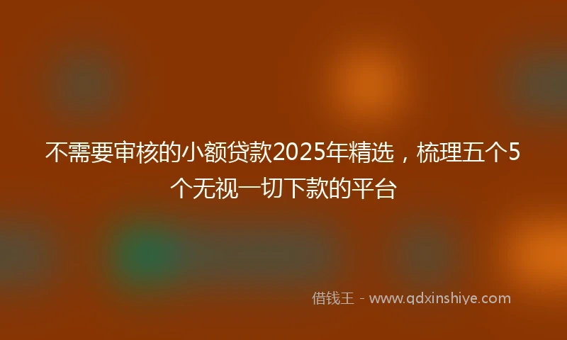 不需要审核的小额贷款2025年精选，梳理五个5个无视一切下款的平台