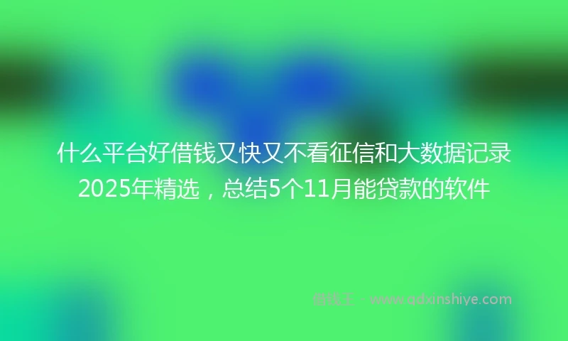 什么平台好借钱又快又不看征信和大数据记录2025年精选，总结5个11月能贷款的软件