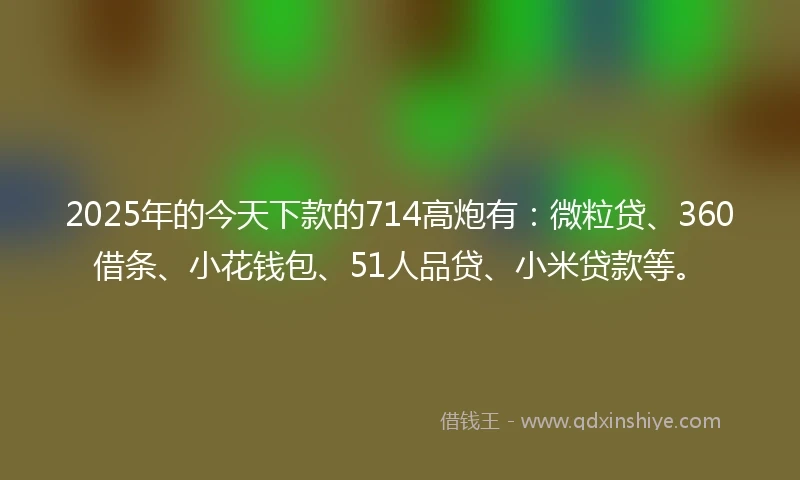 2025年的今天下款的714高炮有：微粒贷、360借条、小花钱包、51人品贷、小米贷款等。