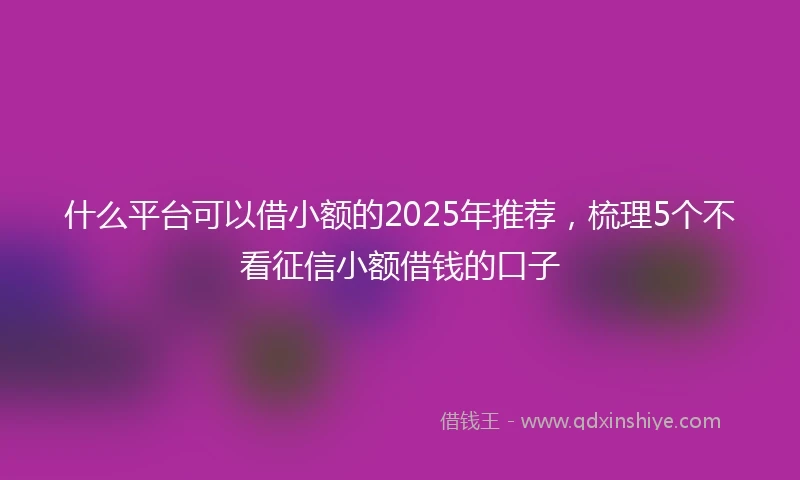 什么平台可以借小额的2025年推荐，梳理5个不看征信小额借钱的口子