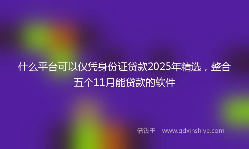 什么平台可以仅凭身份证贷款2025年精选，整合五个11月能贷款的软件
