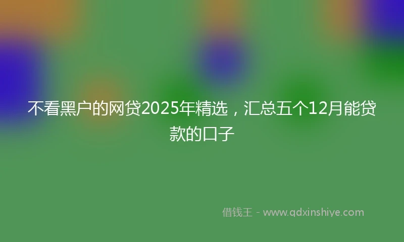 不看黑户的网贷2025年精选，汇总五个12月能贷款的口子