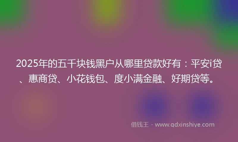 2025年的五千块钱黑户从哪里贷款好有：平安i贷、惠商贷、小花钱包、度小满金融、好期贷等。