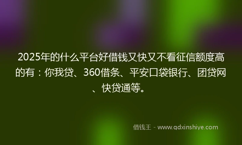 2025年的什么平台好借钱又快又不看征信额度高的有：你我贷、360借条、平安口袋银行、团贷网、快贷通等。