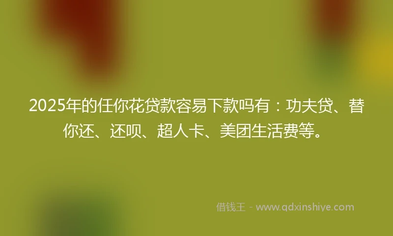 2025年的任你花贷款容易下款吗有：功夫贷、替你还、还呗、超人卡、美团生活费等。