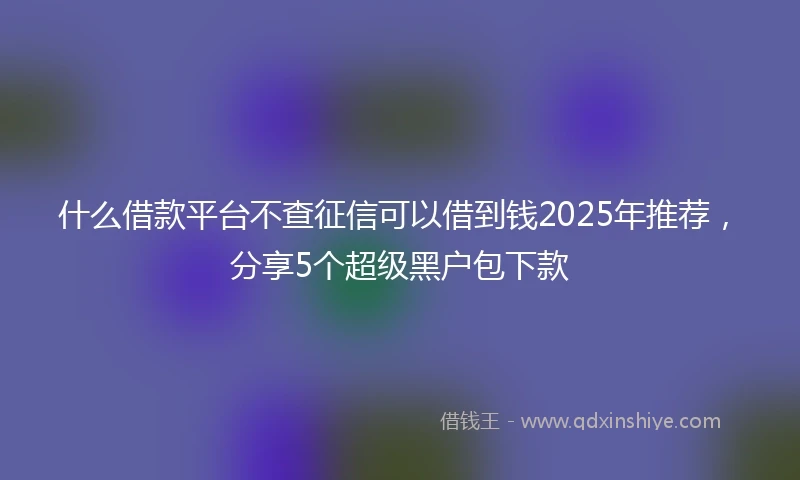 什么借款平台不查征信可以借到钱2025年推荐，分享5个超级黑户包下款
