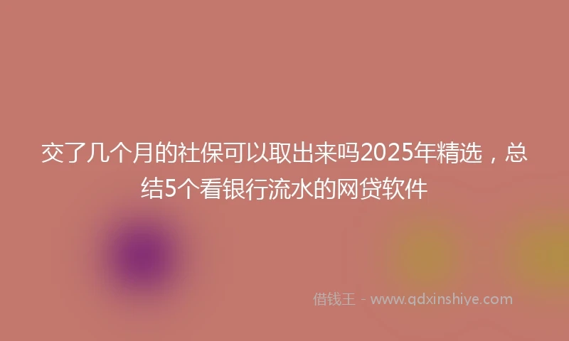 交了几个月的社保可以取出来吗2025年精选，总结5个看银行流水的网贷软件