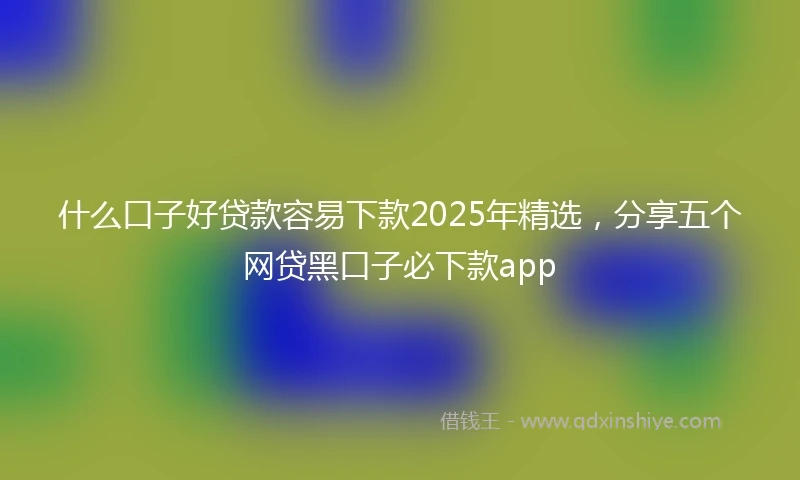 什么口子好贷款容易下款2025年精选，分享五个网贷黑口子必下款app