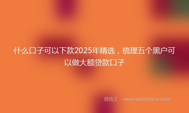 什么口子可以下款2025年精选，梳理五个黑户可以做大额贷款口子