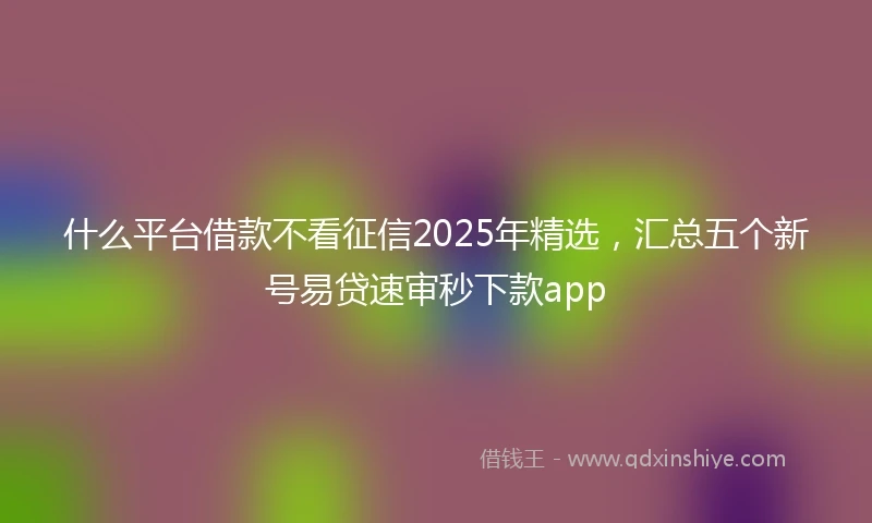 什么平台借款不看征信2025年精选，汇总五个新号易贷速审秒下款app