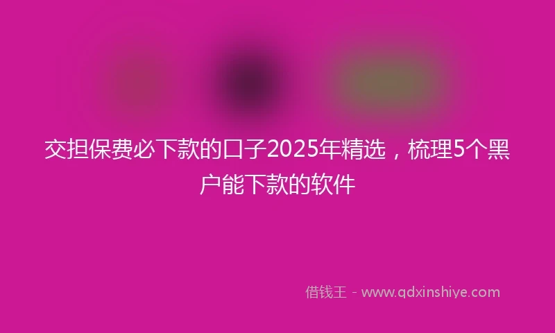 交担保费必下款的口子2025年精选，梳理5个黑户能下款的软件