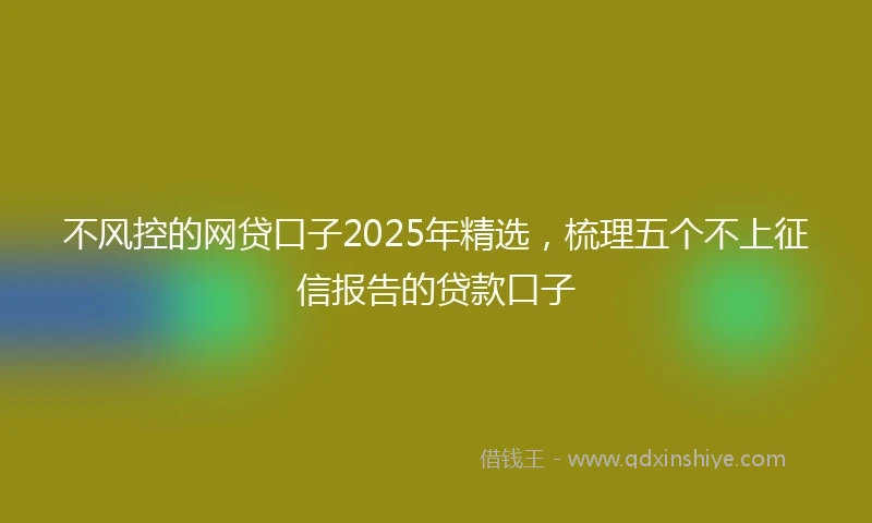 不风控的网贷口子2025年精选，梳理五个不上征信报告的贷款口子