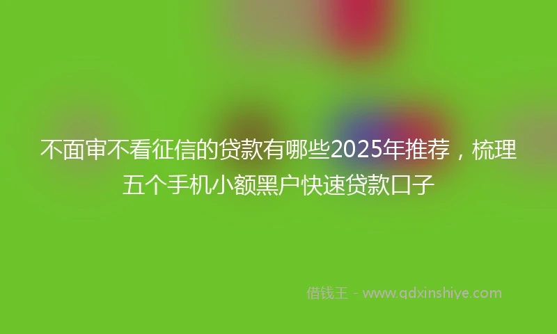 不面审不看征信的贷款有哪些2025年推荐，梳理五个手机小额黑户快速贷款口子