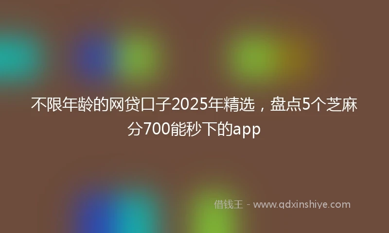 不限年龄的网贷口子2025年精选，盘点5个芝麻分700能秒下的app
