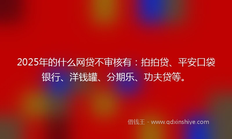 2025年的什么网贷不审核有：拍拍贷、平安口袋银行、洋钱罐、分期乐、功夫贷等。