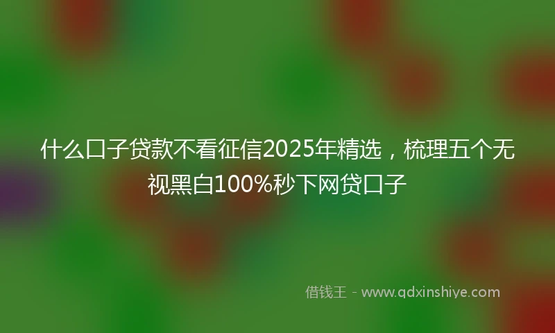 什么口子贷款不看征信2025年精选，梳理五个无视黑白100%秒下网贷口子