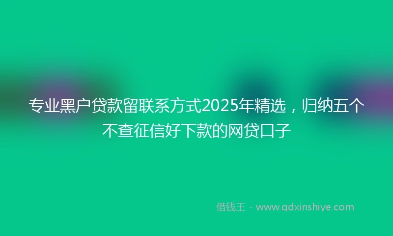 专业黑户贷款留联系方式2025年精选，归纳五个不查征信好下款的网贷口子