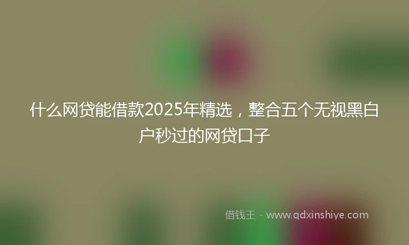 什么网贷能借款2025年精选，整合五个无视黑白户秒过的网贷口子