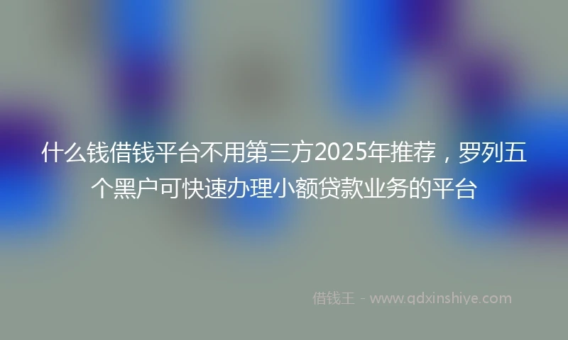 什么钱借钱平台不用第三方2025年推荐，罗列五个黑户可快速办理小额贷款业务的平台