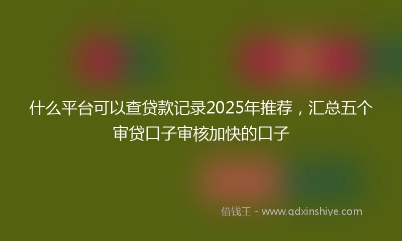 什么平台可以查贷款记录2025年推荐，汇总五个审贷口子审核加快的口子