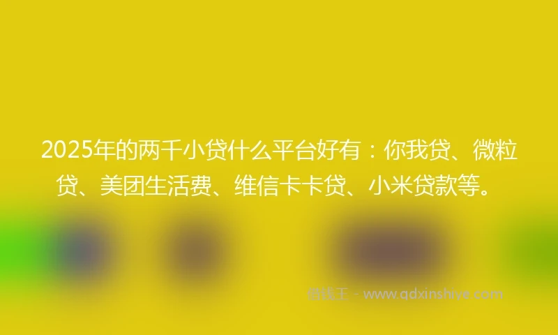2025年的两千小贷什么平台好有：你我贷、微粒贷、美团生活费、维信卡卡贷、小米贷款等。