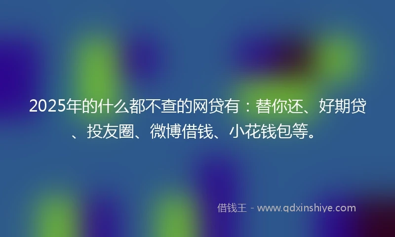 2025年的什么都不查的网贷有：替你还、好期贷、投友圈、微博借钱、小花钱包等。