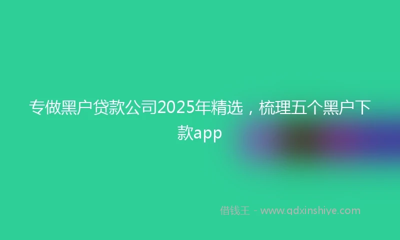 专做黑户贷款公司2025年精选，梳理五个黑户下款app