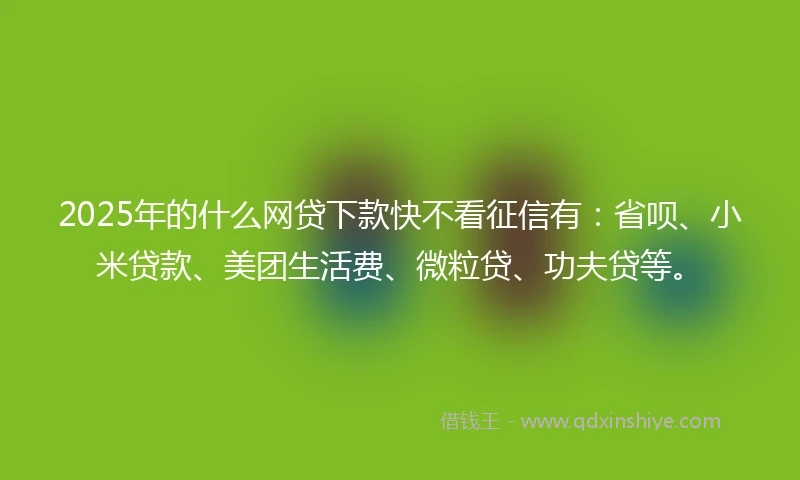 2025年的什么网贷下款快不看征信有：省呗、小米贷款、美团生活费、微粒贷、功夫贷等。