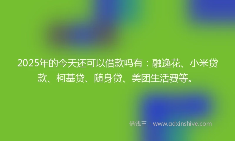 2025年的今天还可以借款吗有：融逸花、小米贷款、柯基贷、随身贷、美团生活费等。