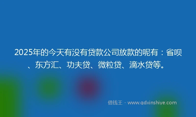 2025年的今天有没有贷款公司放款的呢有：省呗、东方汇、功夫贷、微粒贷、滴水贷等。