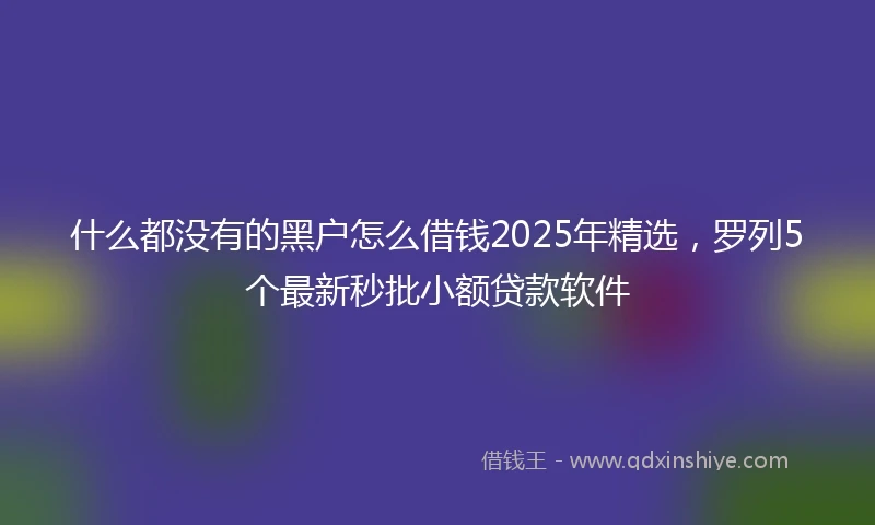 什么都没有的黑户怎么借钱2025年精选，罗列5个最新秒批小额贷款软件
