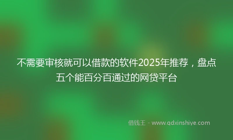 不需要审核就可以借款的软件2025年推荐，盘点五个能百分百通过的网贷平台