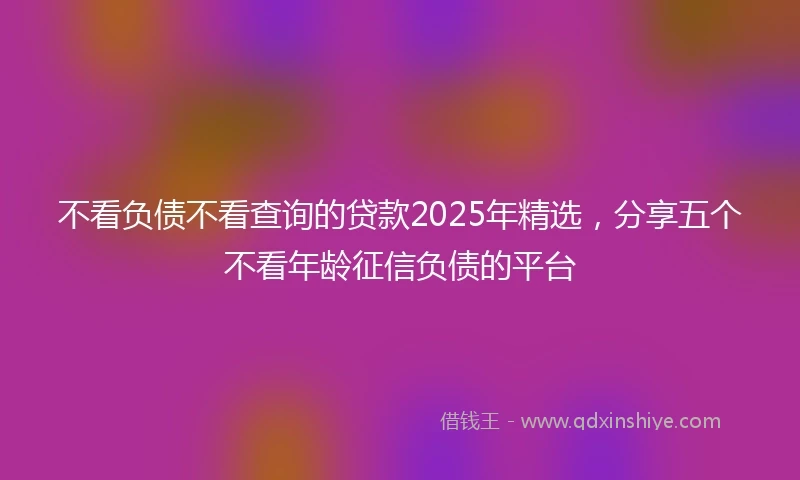 不看负债不看查询的贷款2025年精选，分享五个不看年龄征信负债的平台