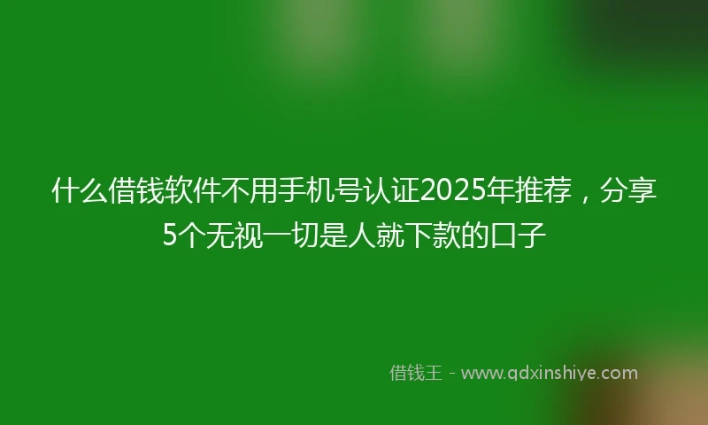 什么借钱软件不用手机号认证2025年推荐，分享5个无视一切是人就下款的口子