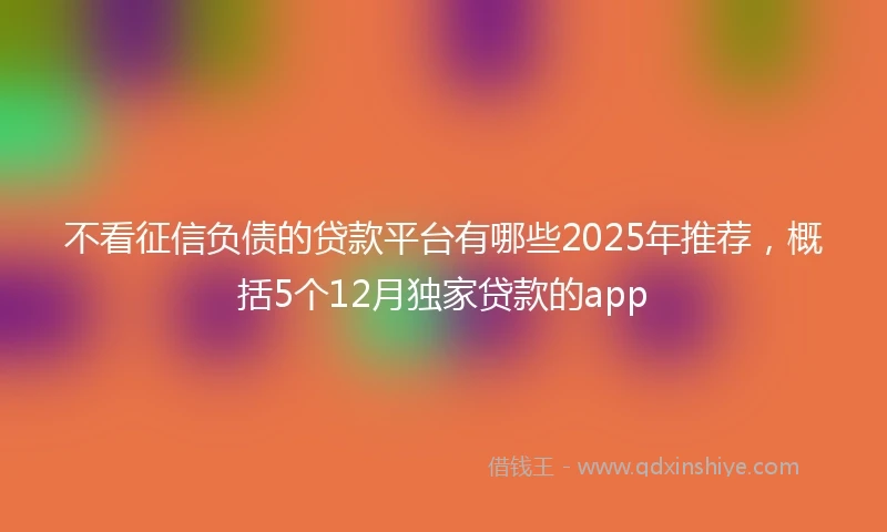 不看征信负债的贷款平台有哪些2025年推荐,概括5个12月独家贷款的app