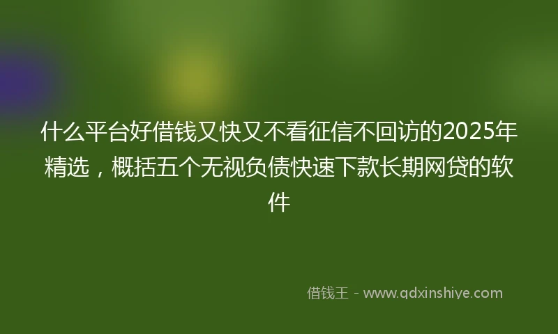 什么平台好借钱又快又不看征信不回访的2025年精选，概括五个无视负债快速下款长期网贷的软件