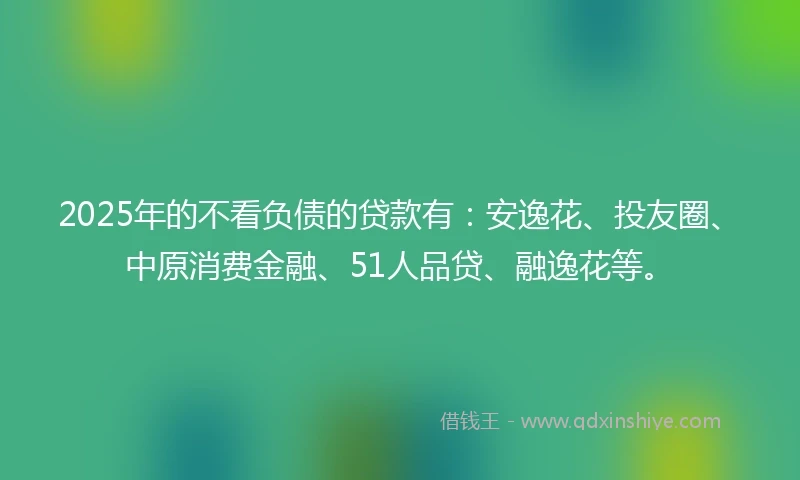 2025年的不看负债的贷款有：安逸花、投友圈、中原消费金融、51人品贷、融逸花等。