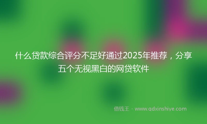什么贷款综合评分不足好通过2025年推荐，分享五个无视黑白的网贷软件