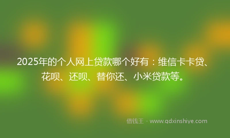 2025年的个人网上贷款哪个好有：维信卡卡贷、花呗、还呗、替你还、小米贷款等。