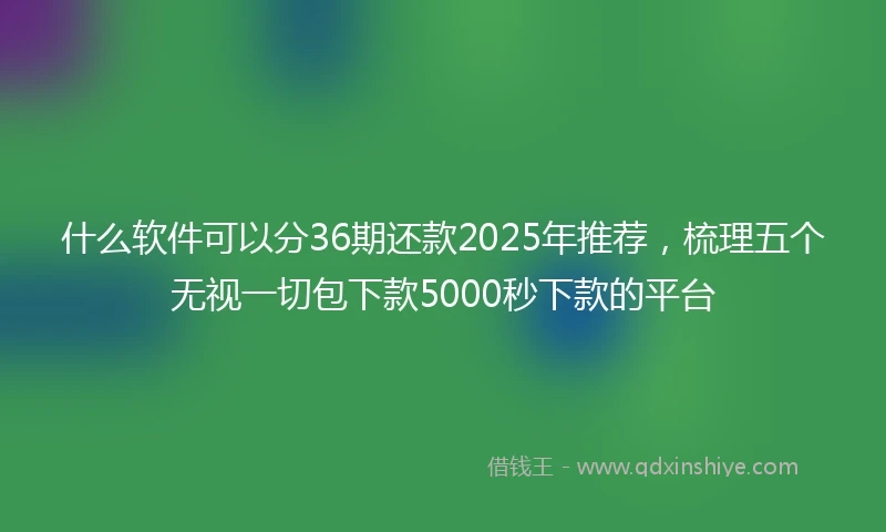 什么软件可以分36期还款2025年推荐，梳理五个无视一切包下款5000秒下款的平台