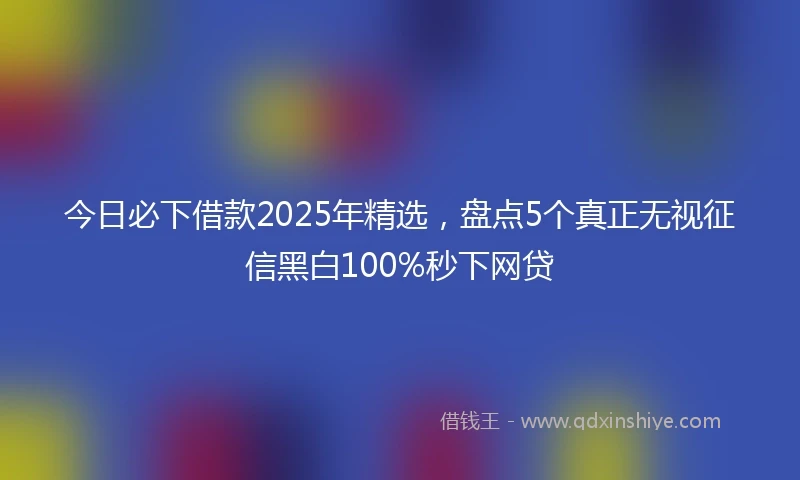 今日必下借款2025年精选，盘点5个真正无视征信黑白100%秒下网贷