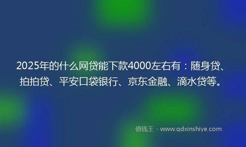 2025年的什么网贷能下款4000左右有：随身贷、拍拍贷、平安口袋银行、京东金融、滴水贷等。