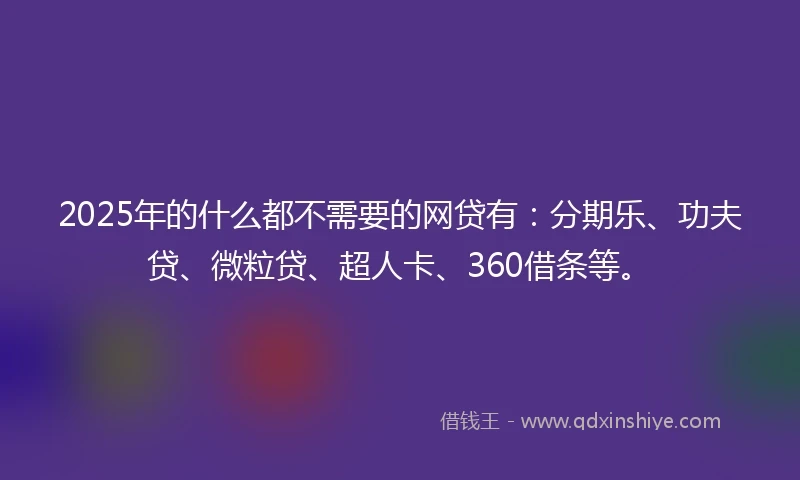 2025年的什么都不需要的网贷有：分期乐、功夫贷、微粒贷、超人卡、360借条等。